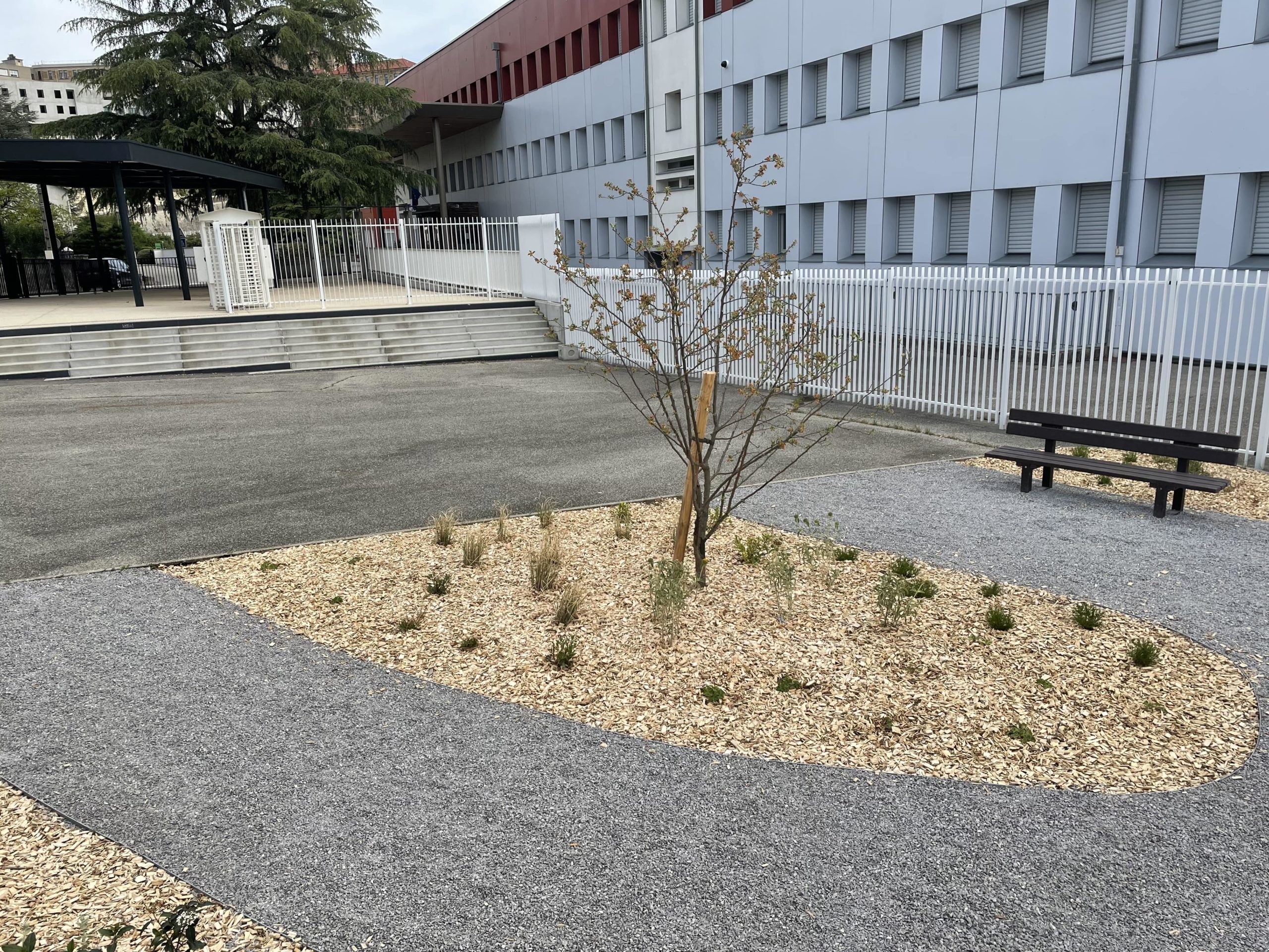 espaces verts école