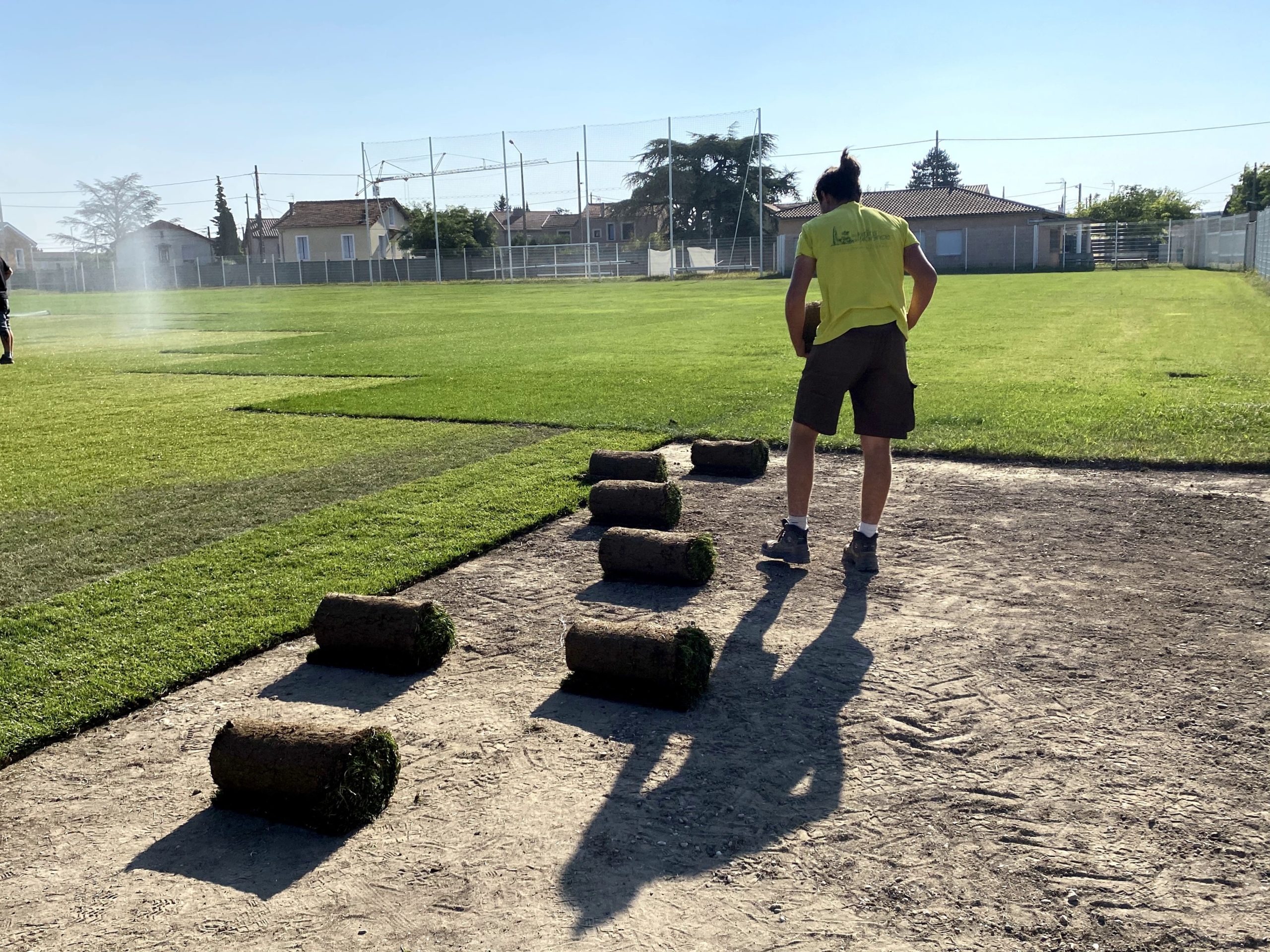 gazon en plaque drome