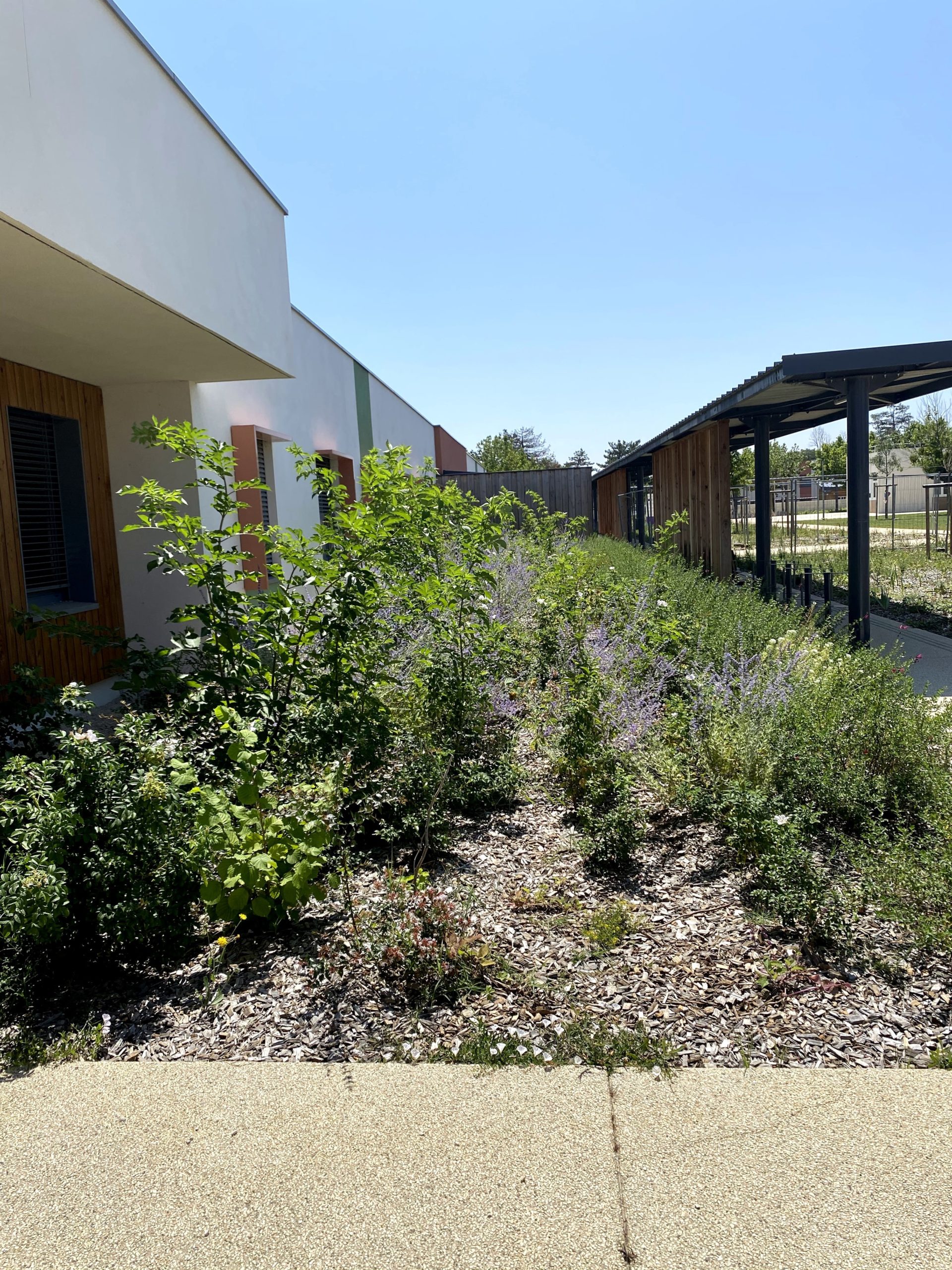 biodiversité drome