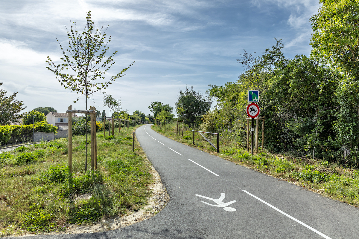 plantation arbre lunel